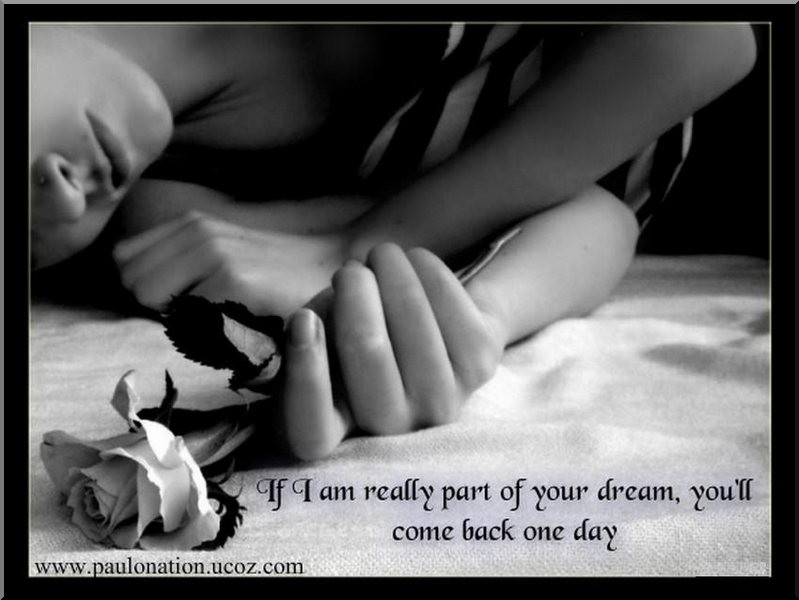 If I am really part of your dream, you will come back one day.